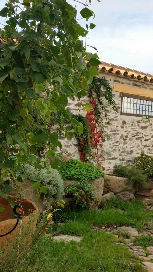 Casa Rural El Arco La Estrella (Castilla-La Mancha) Exterior foto